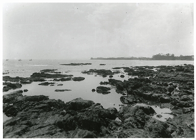 片田麦崎海岸の暗礁