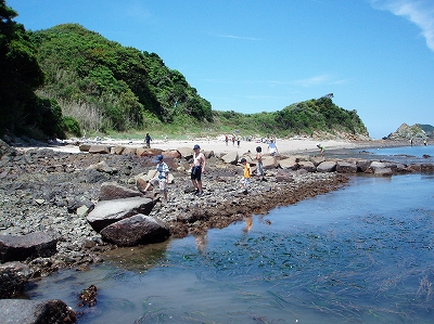 桃取町浮島4