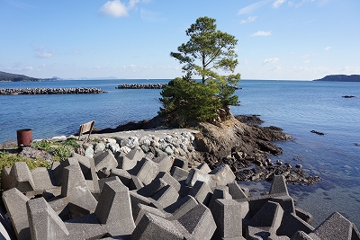 鳥羽市安楽島町前の浜「恵比須堂(エベンドロ)の景観