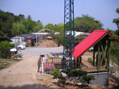 旅館扇芳閣のメダカの学校1