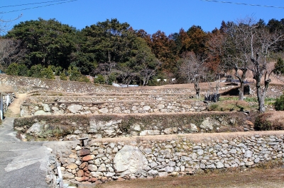 河内町の棚田と養蜂1