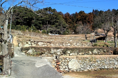 河内町の棚田と養蜂3