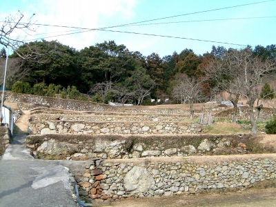 河内町の棚田と養蜂4