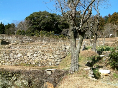 河内町の棚田と養蜂5